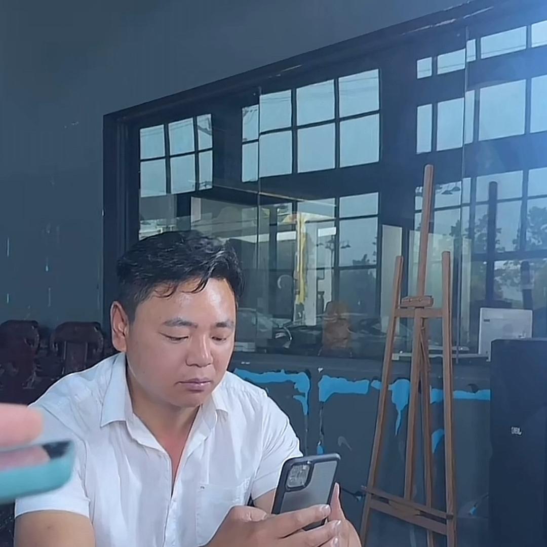河南小🐴驹