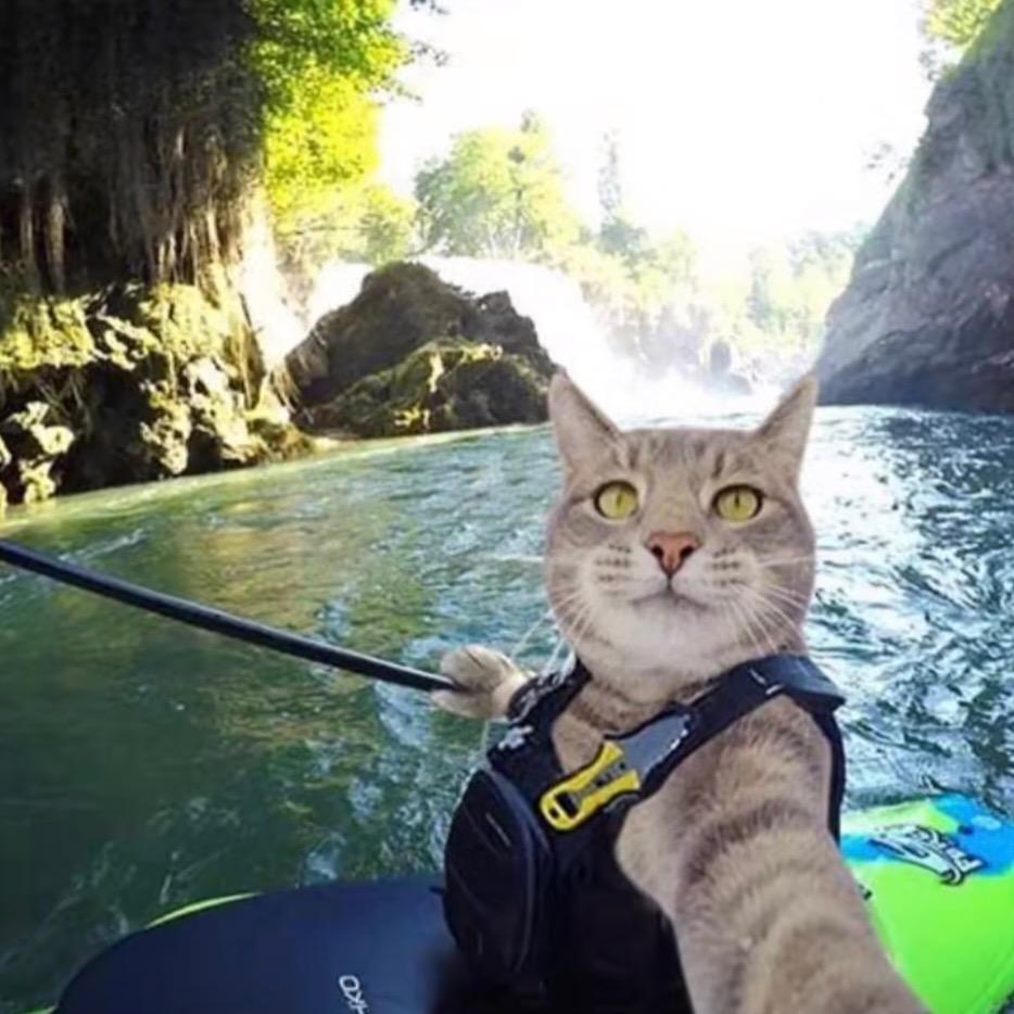 奔跑的猛男