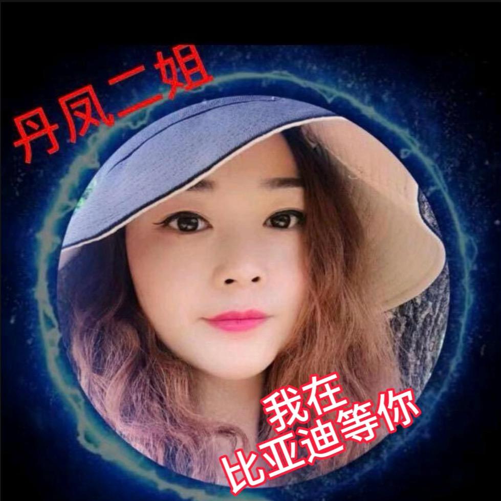 丹凤二姐