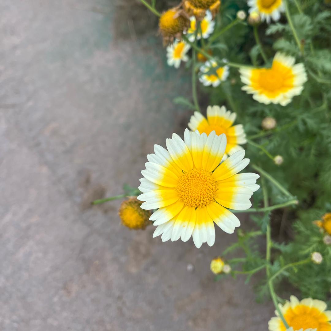 遇见～