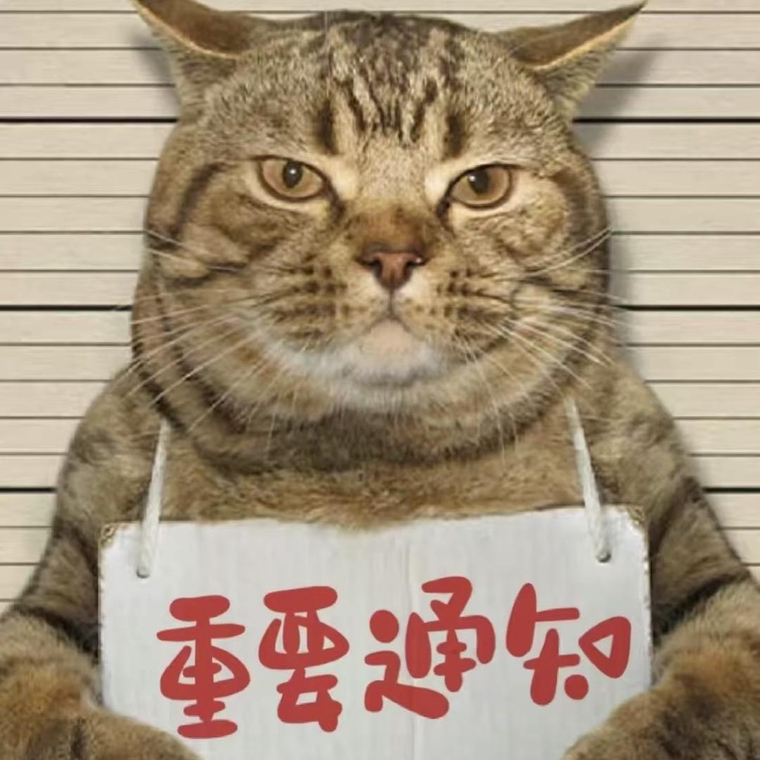 东北老弟