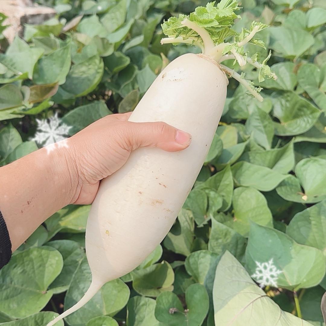 乡村湘味