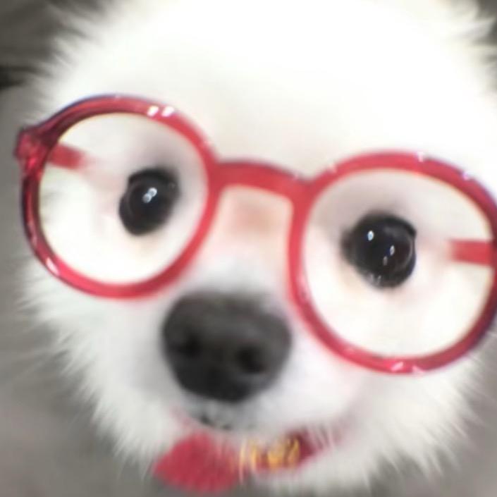 nono