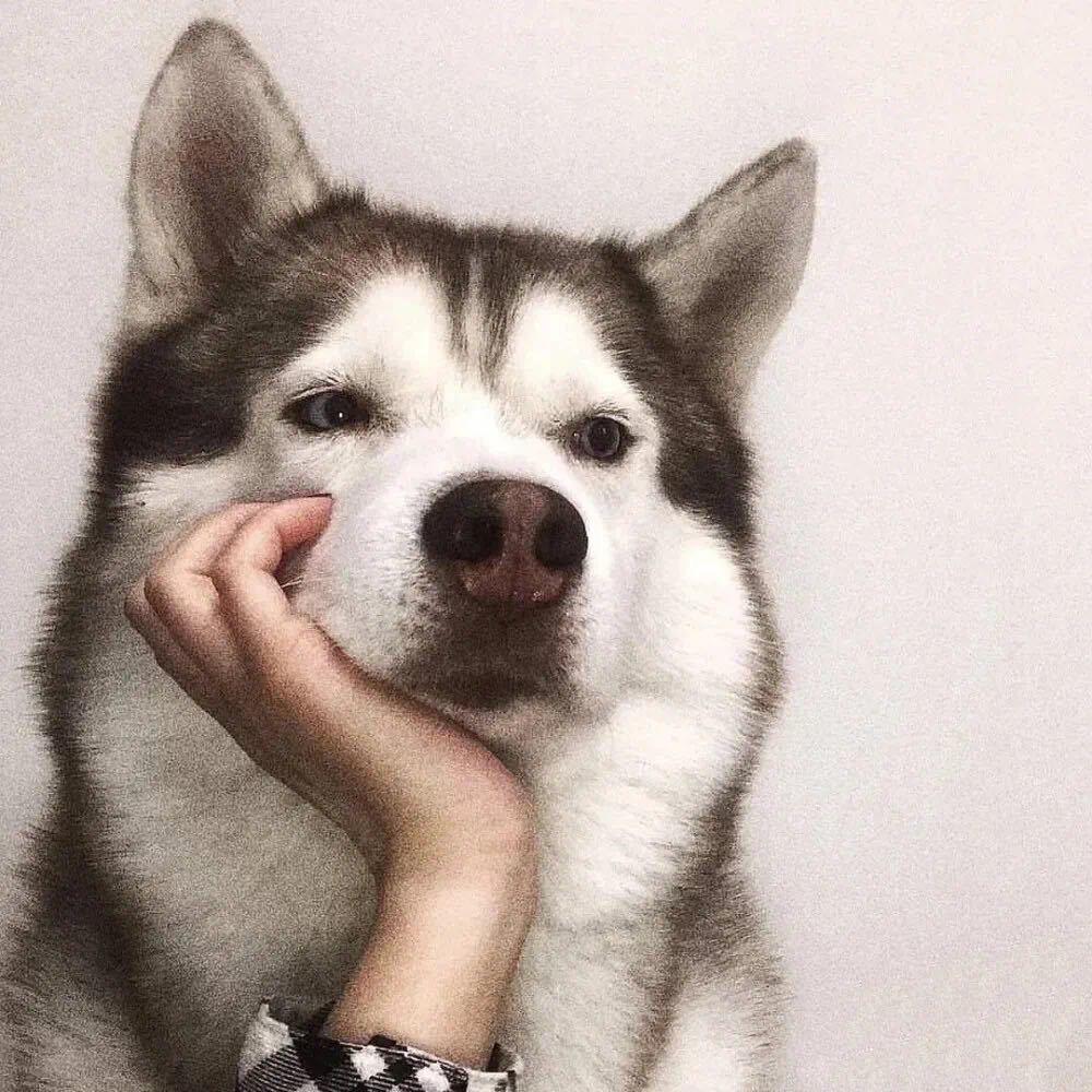 甲方都是爸爸