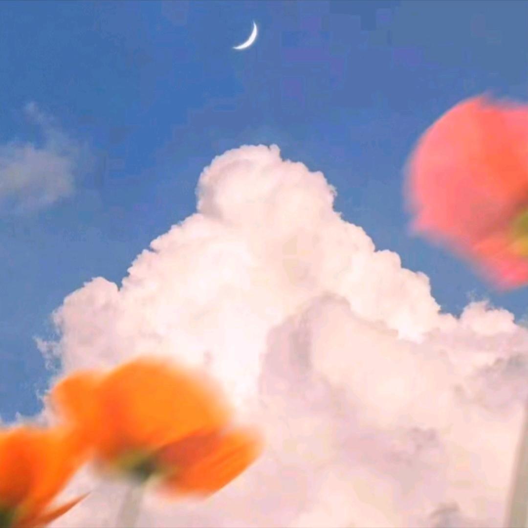 𝑻𝒓𝒊𝒂𝒅𝒈𝒍𝒂.