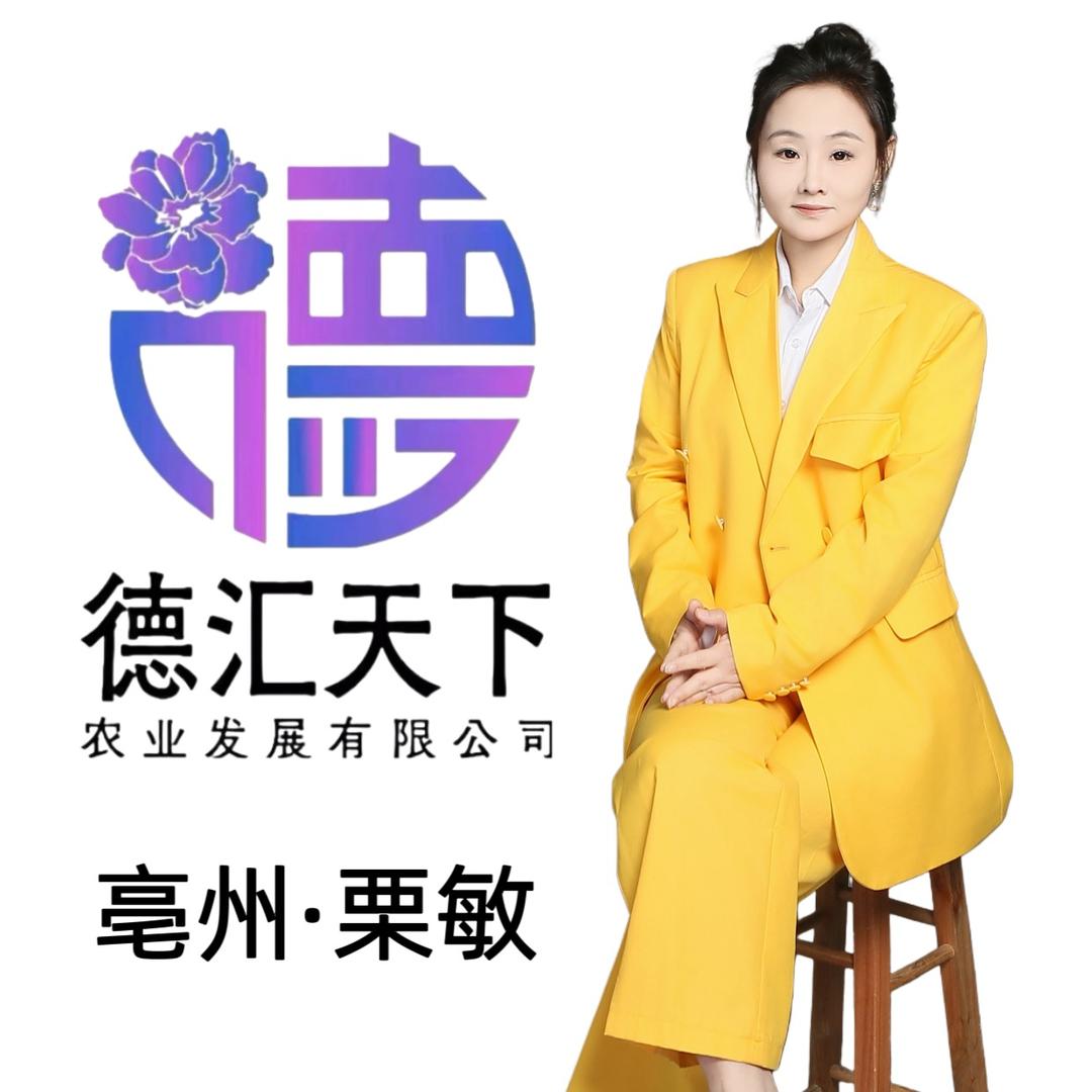 德汇天下董事长-栗敏招合伙人