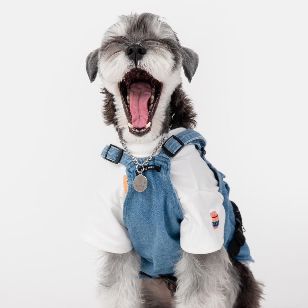 只要我的Lucky，健健康康呀～