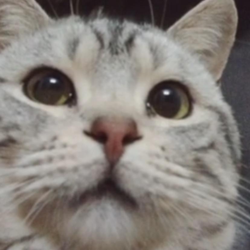 再玩徒步找人弄你