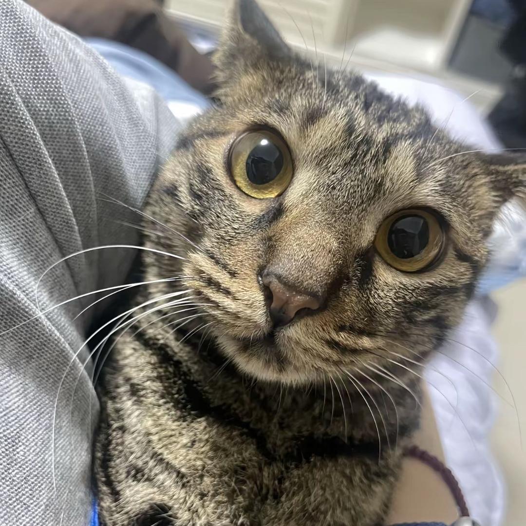 羊羊羊r