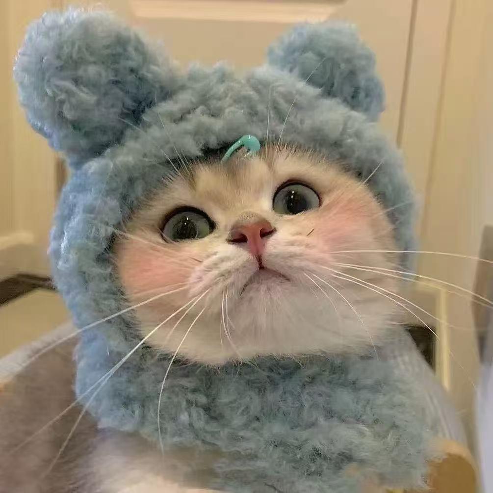 刘 恺