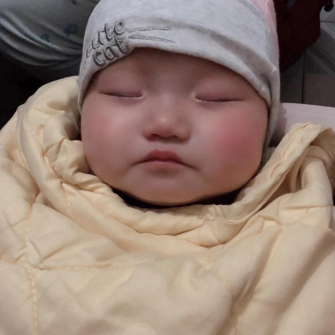 小燕子