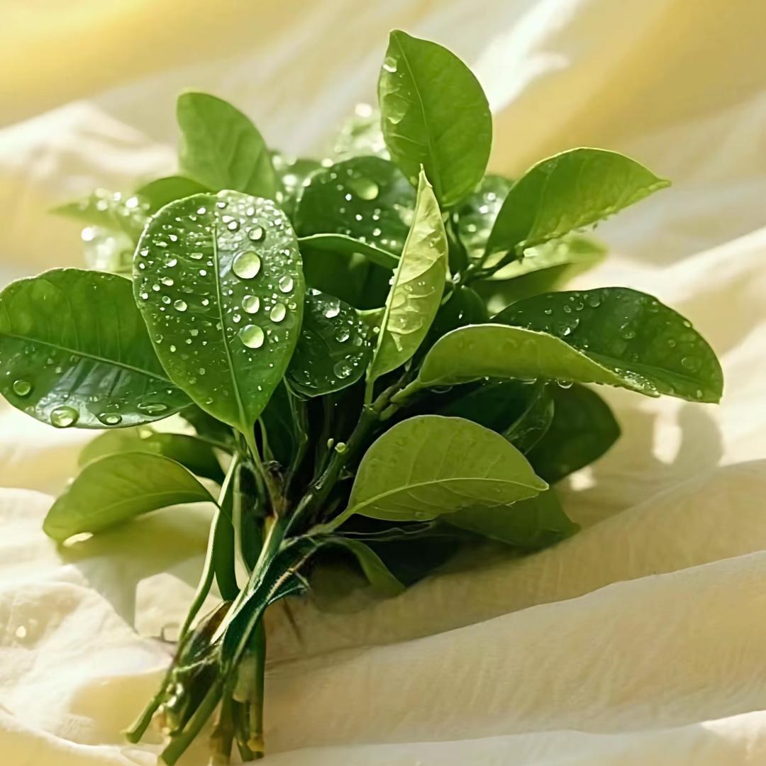 满目๓ ້星何ྀ࿐