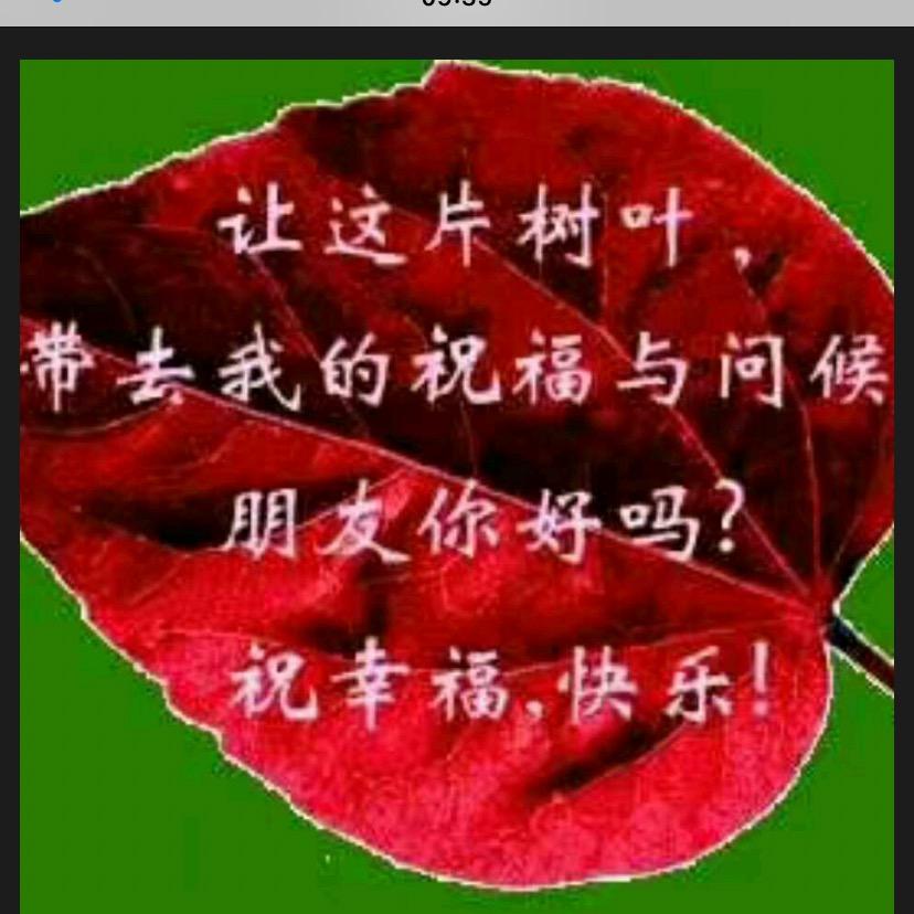 钱程似锦。