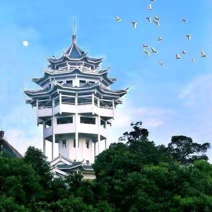 聚优堂优选美美