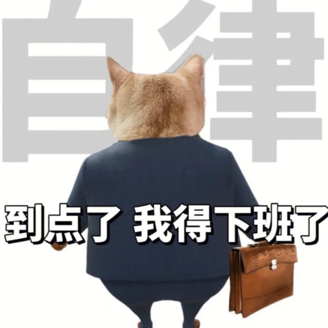 小岛招聘看这里