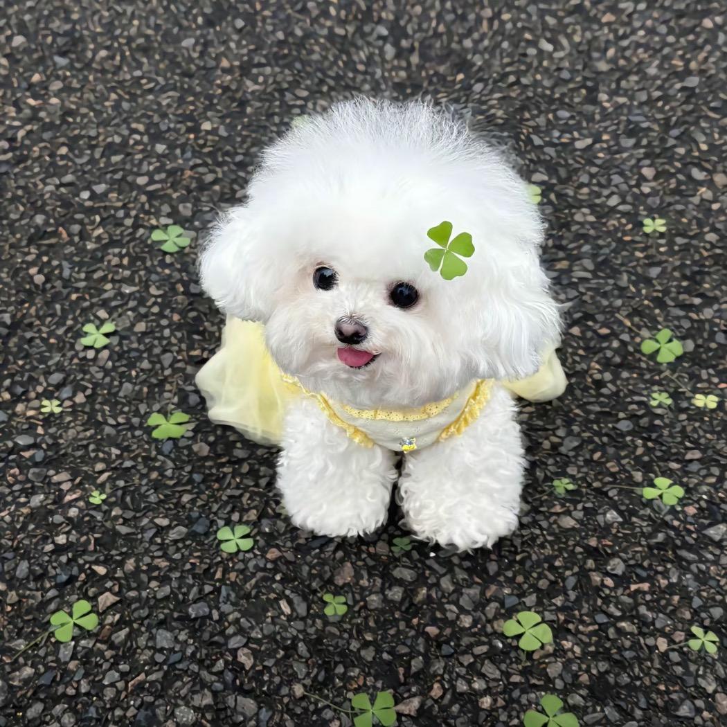 姩鲶.