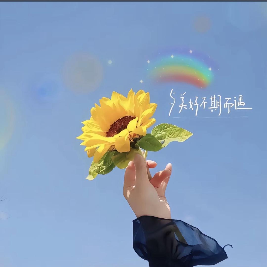 王王仙贝
