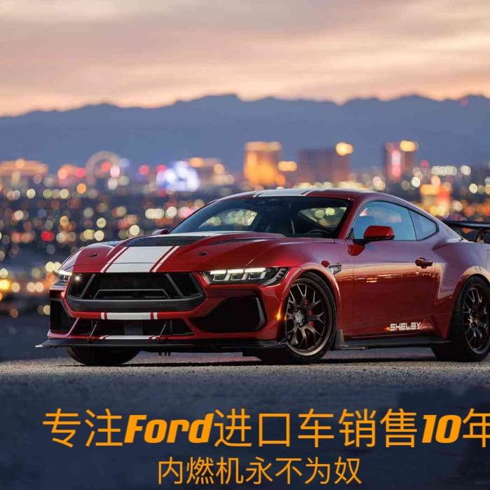 Mustang野马-张总