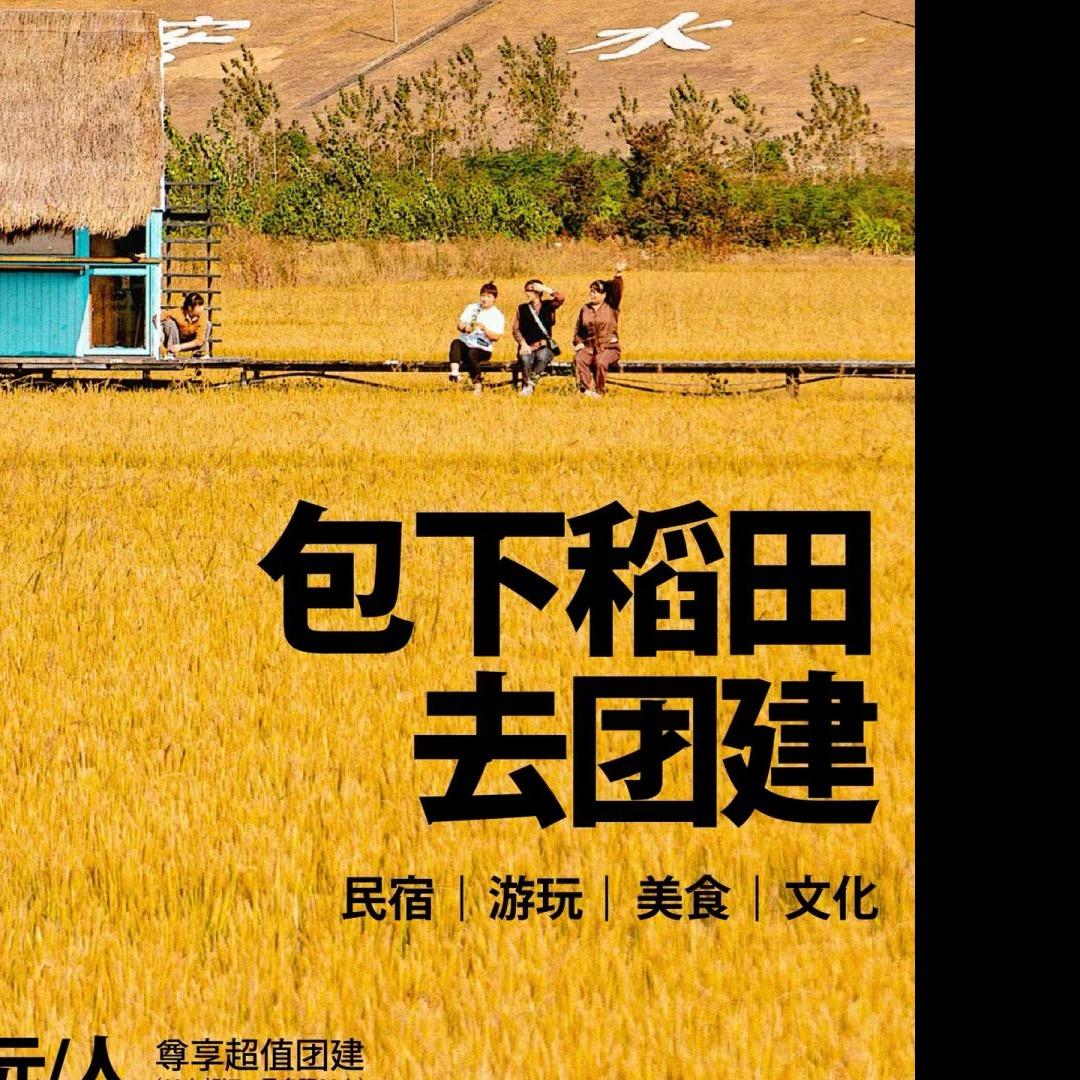 墅先生