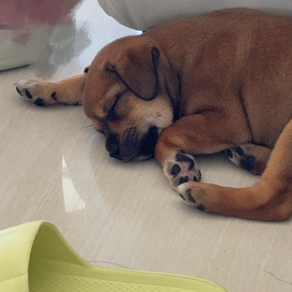 一百的小主