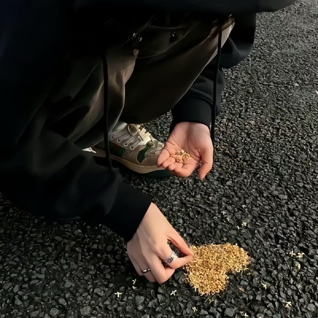 莱檬🍋朋友圈