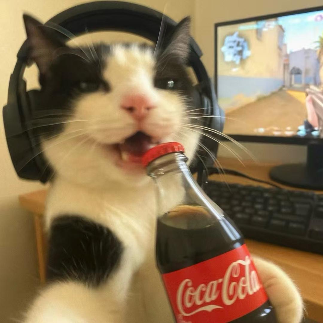洛笙.