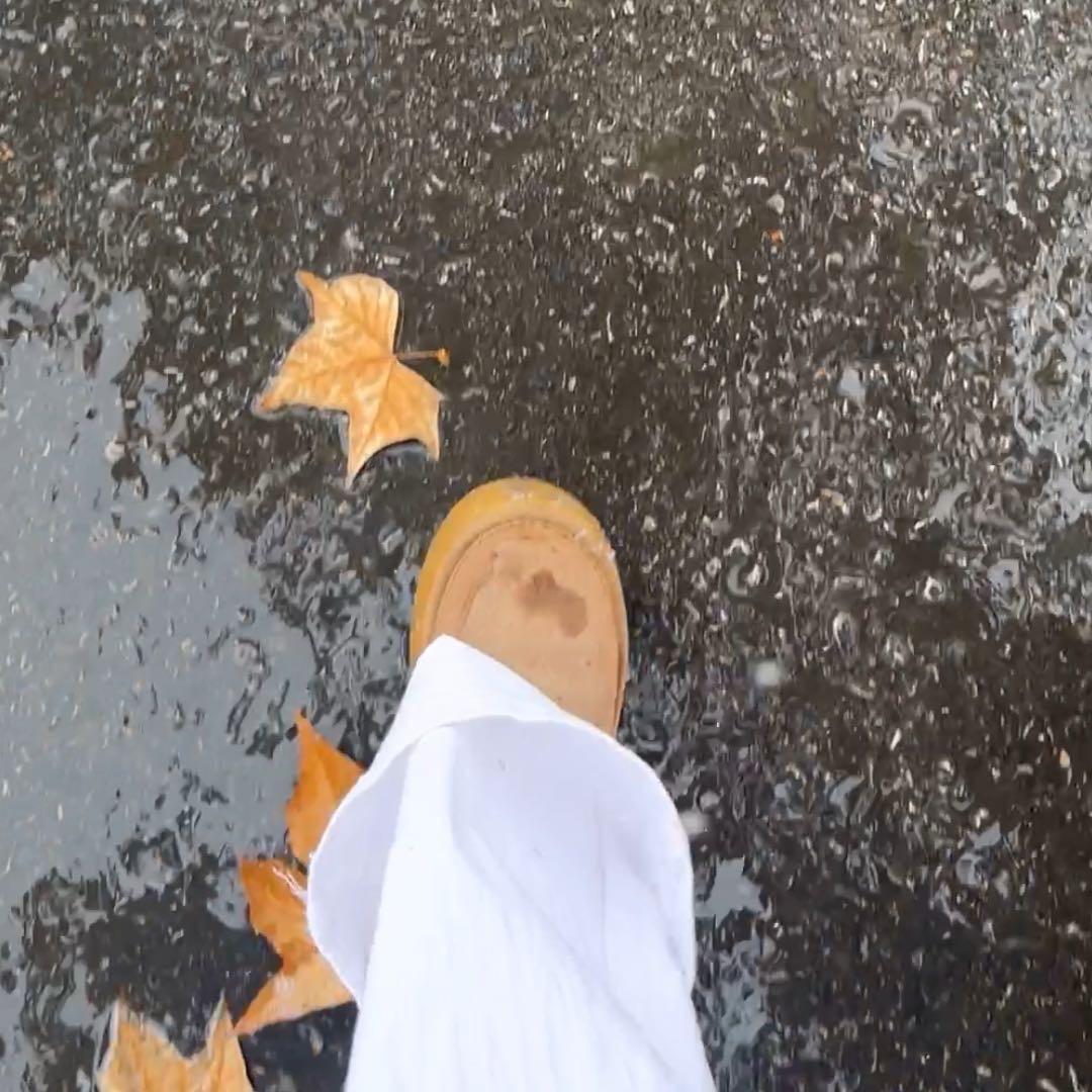 依拉