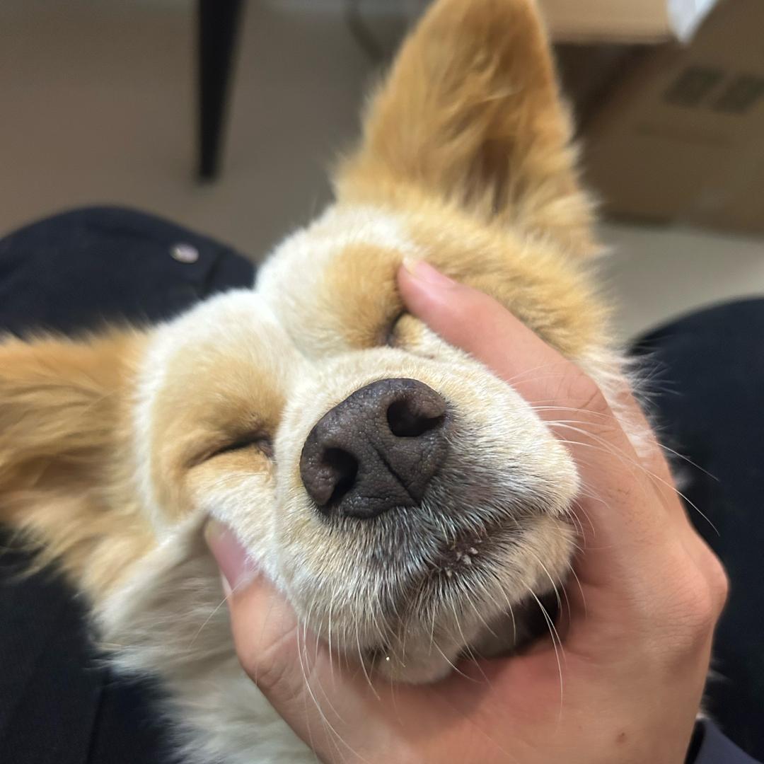 魏什么拍📹📷