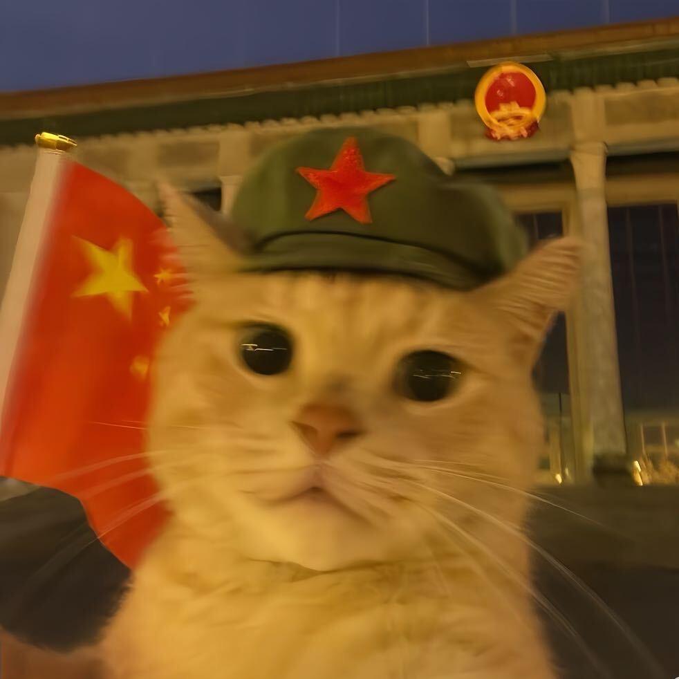 中高层次