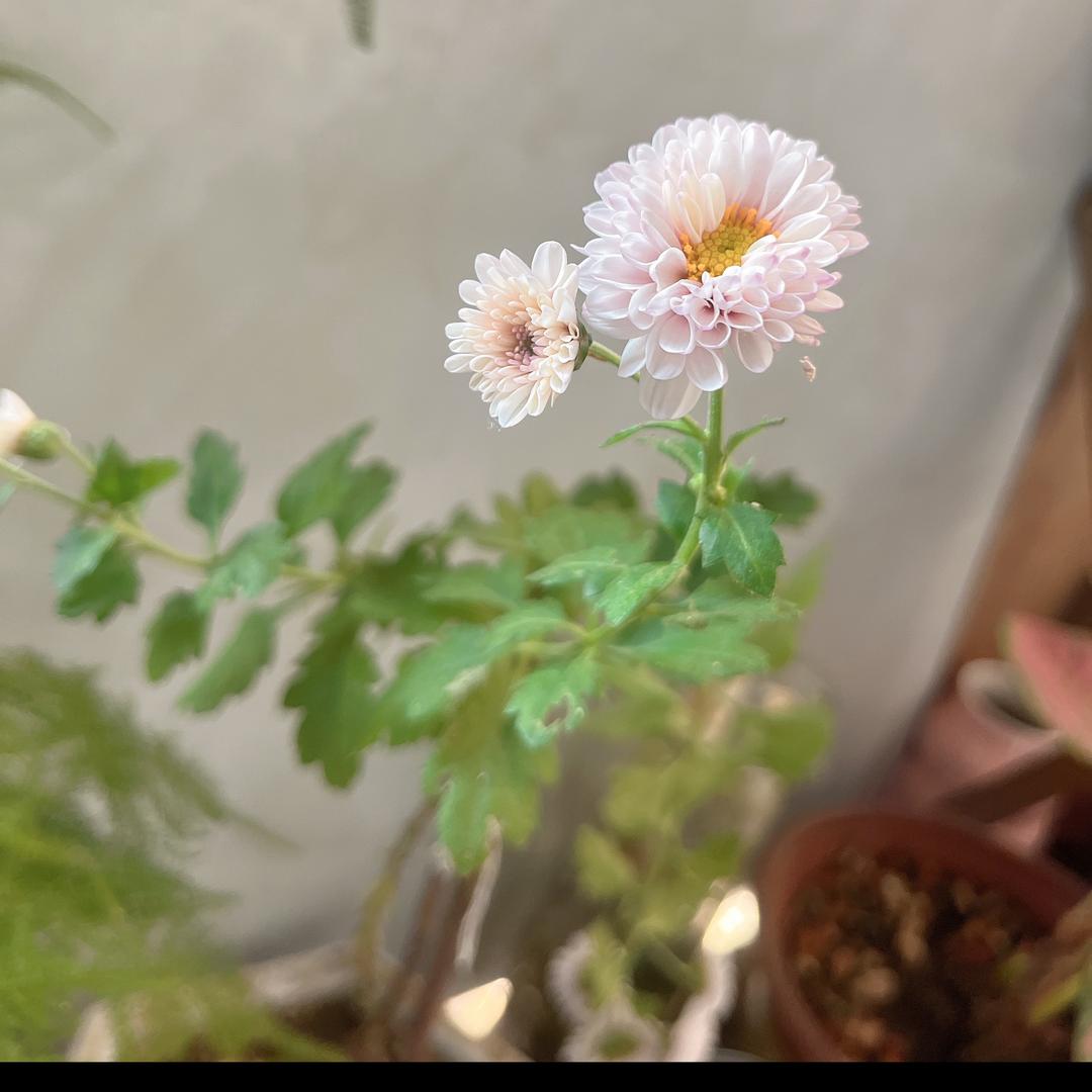 闲暇