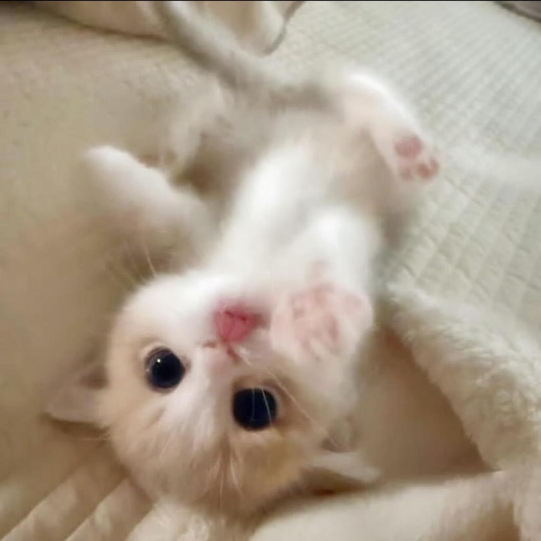 叫哥哥！