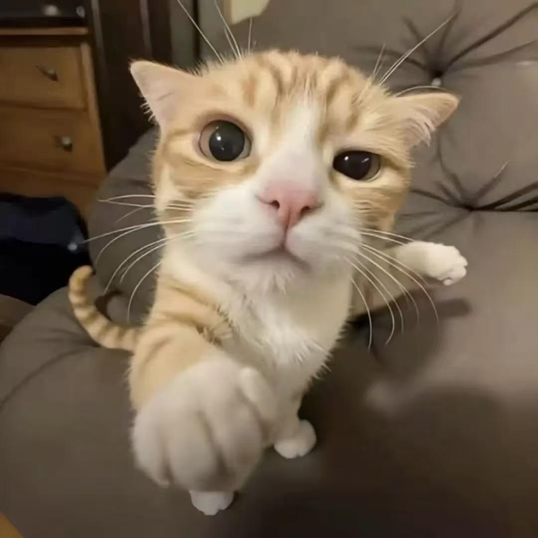 用户20243506210412