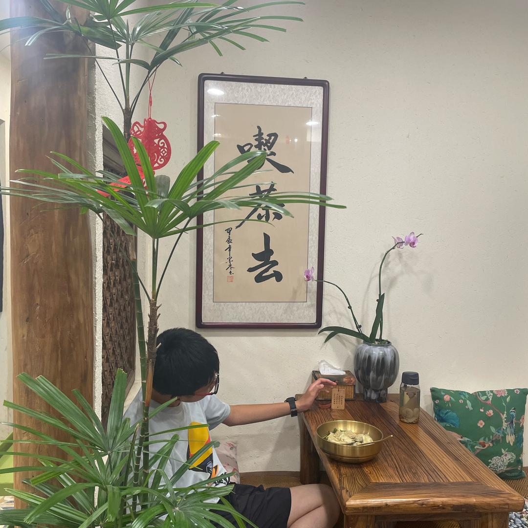 光速猪