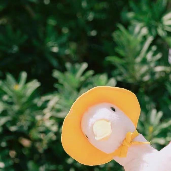 找个富婆卖对象