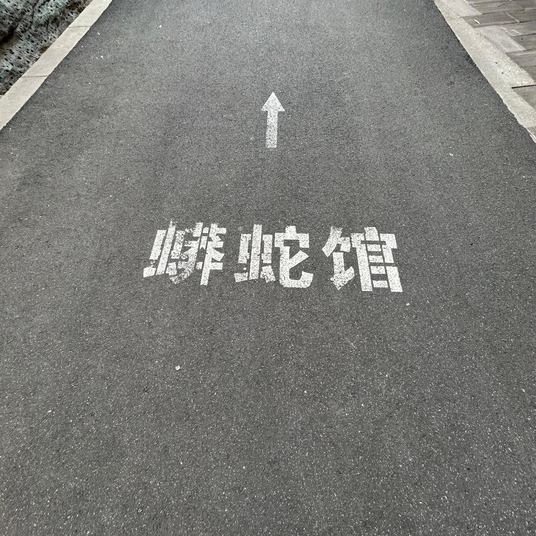 你正在看直播