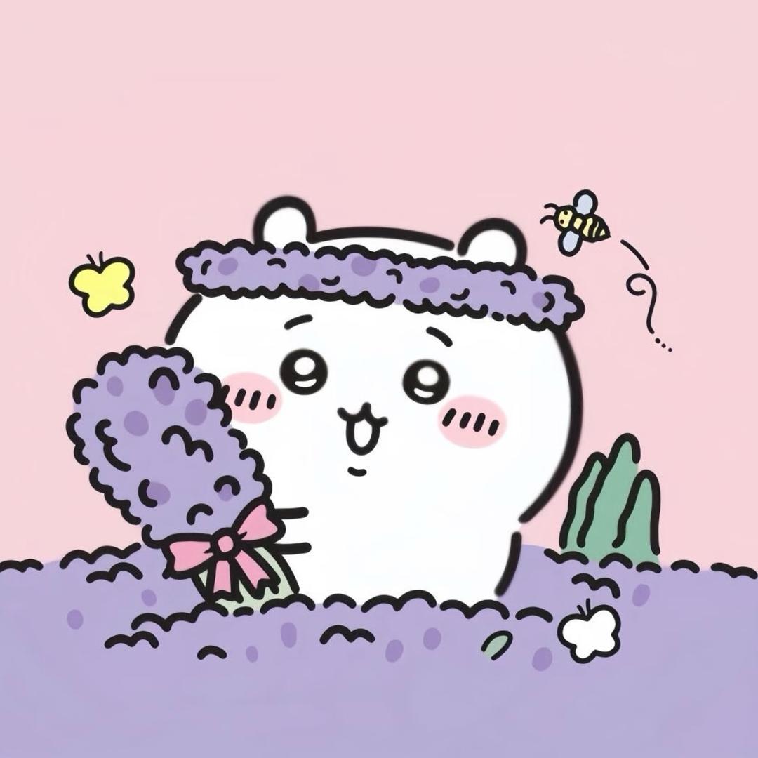 非著名章鱼小丸子鉴赏家