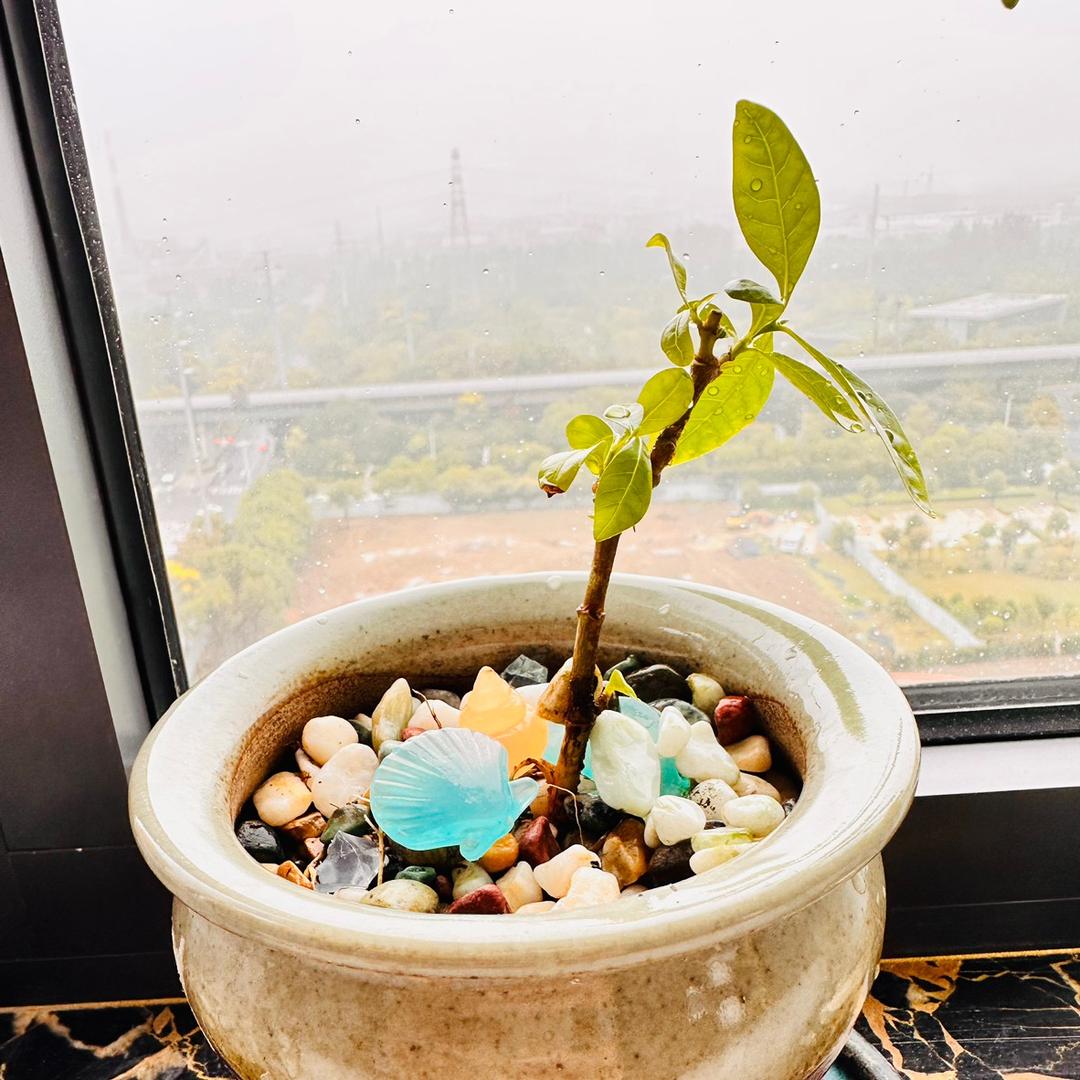 手机用户60716225449