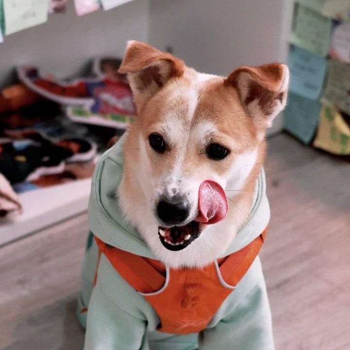 .