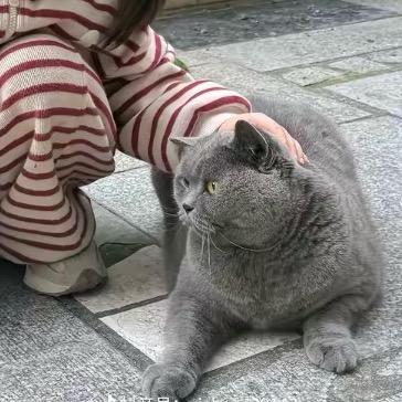 半夜就好饿（想见zwz版）