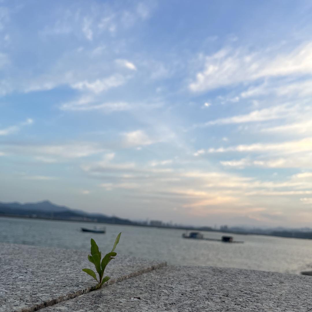 宁波恒砾汽车销售服务有限公司