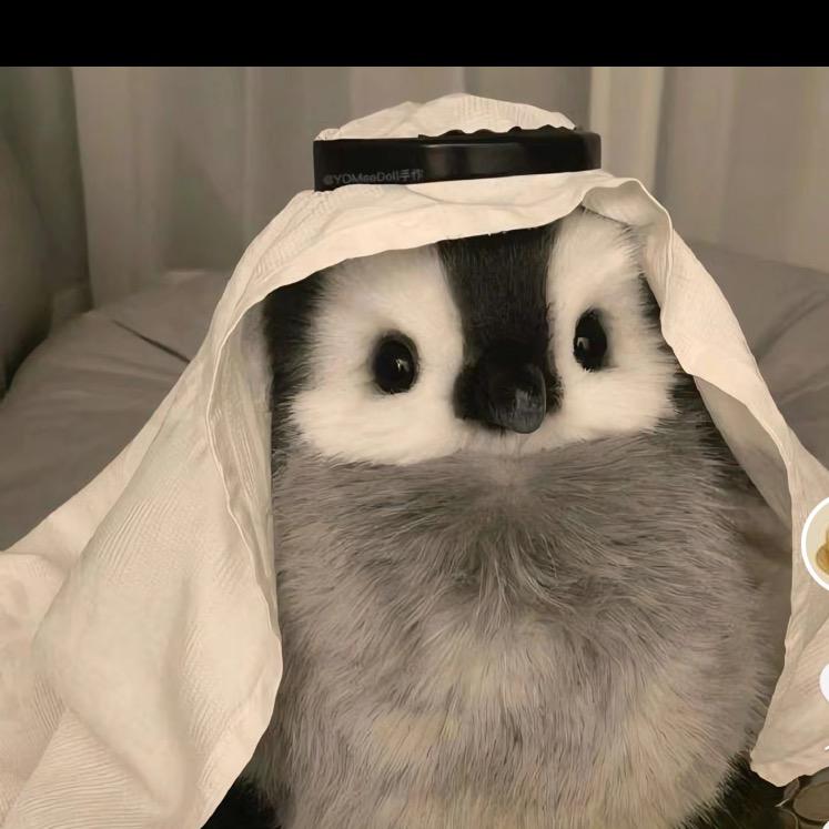 白豆浆