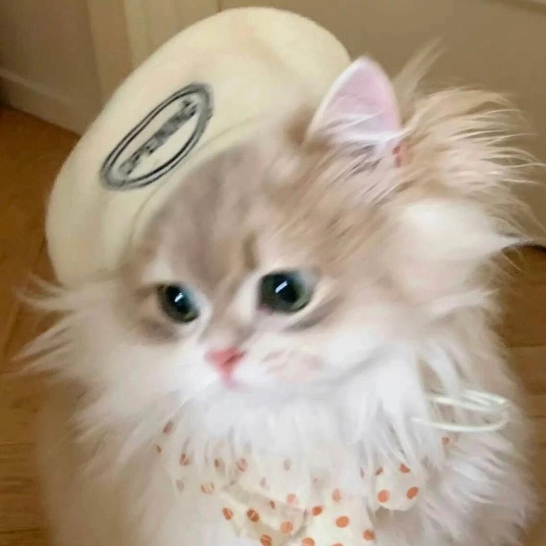 我爱吃猪蹄儿