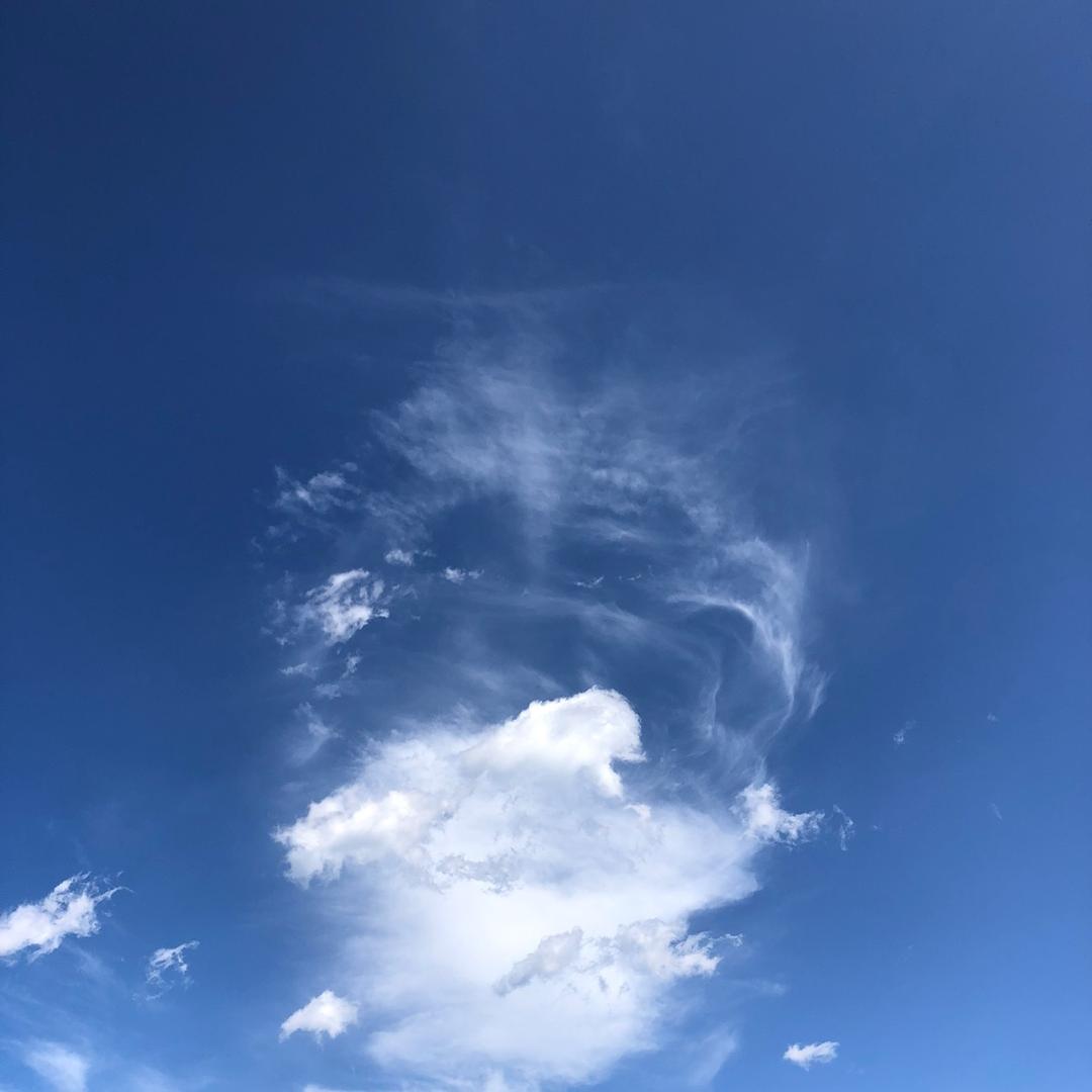 耕拓