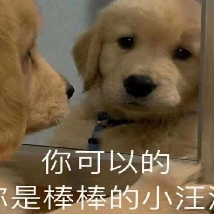 摘到月亮了吗.