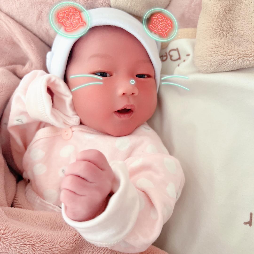 不讲李💕