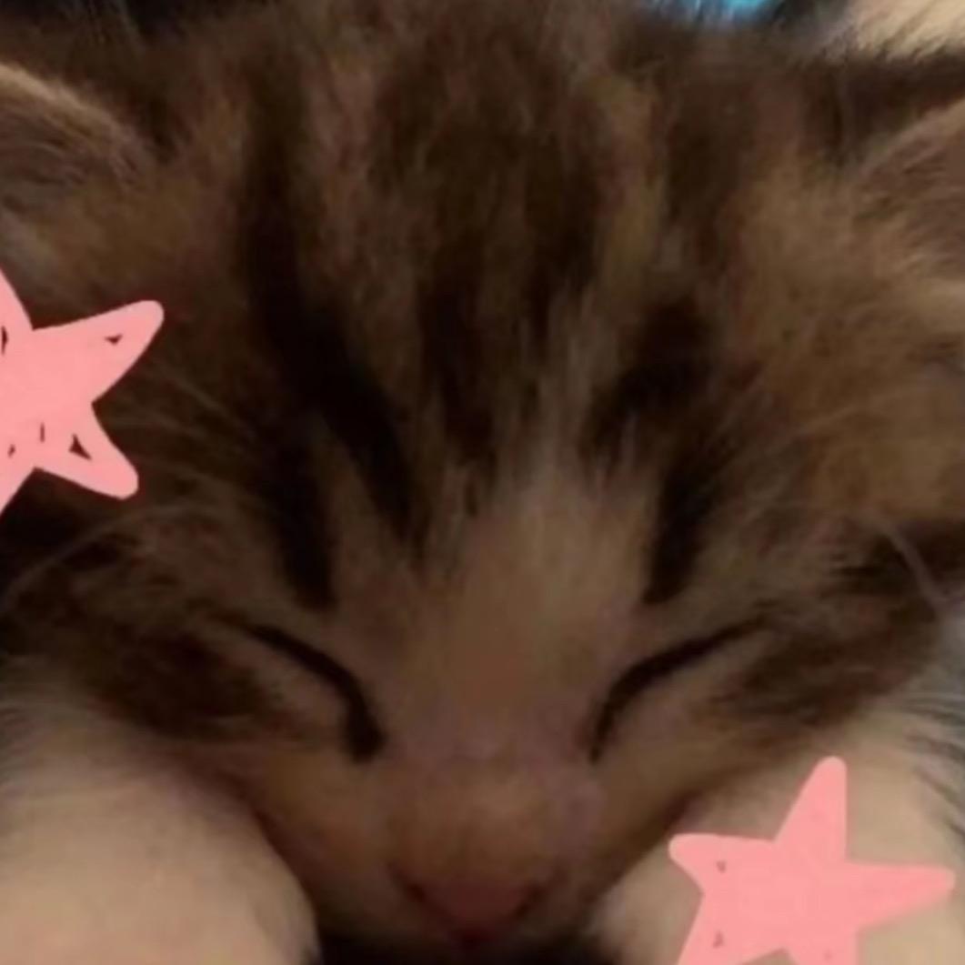 超级无敌小小花