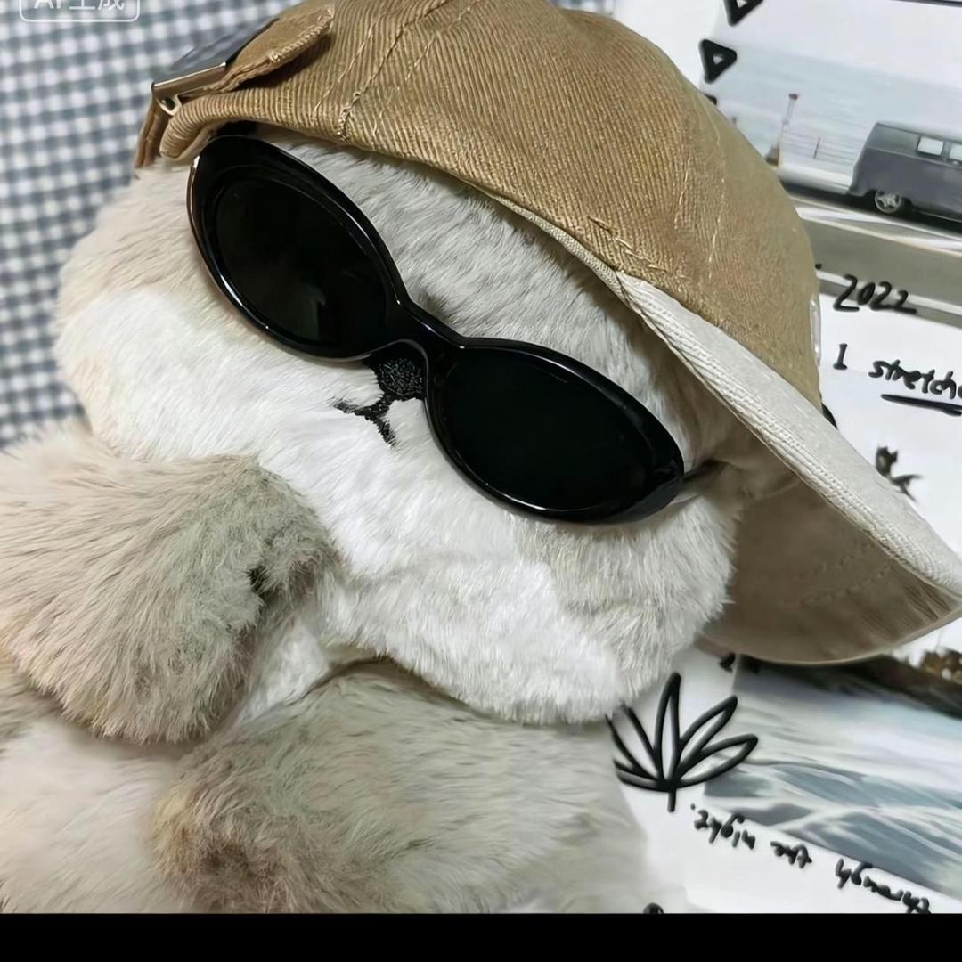 卑微的浩子