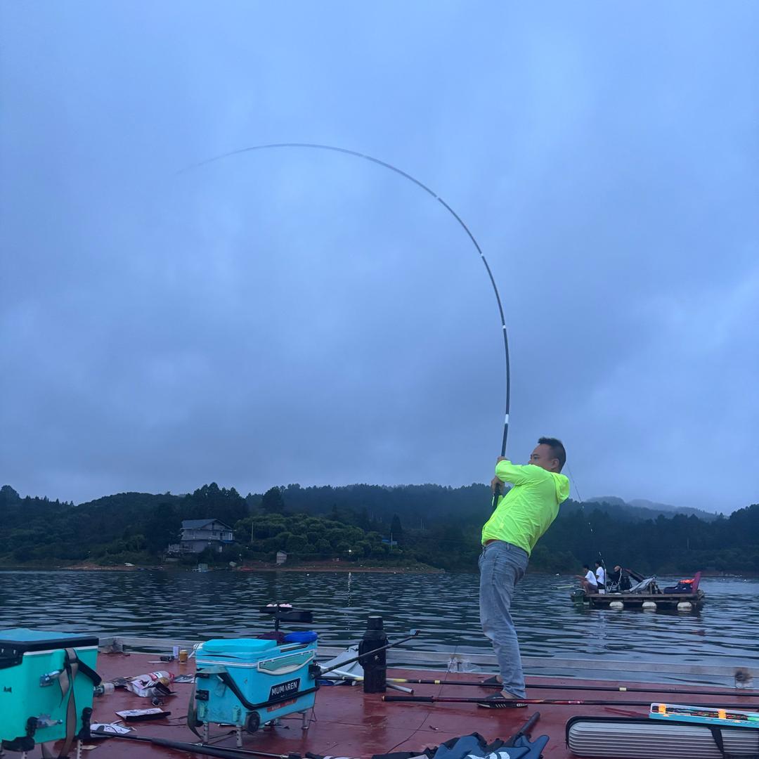 鱼情未了（舒公子钓鲢鳙）