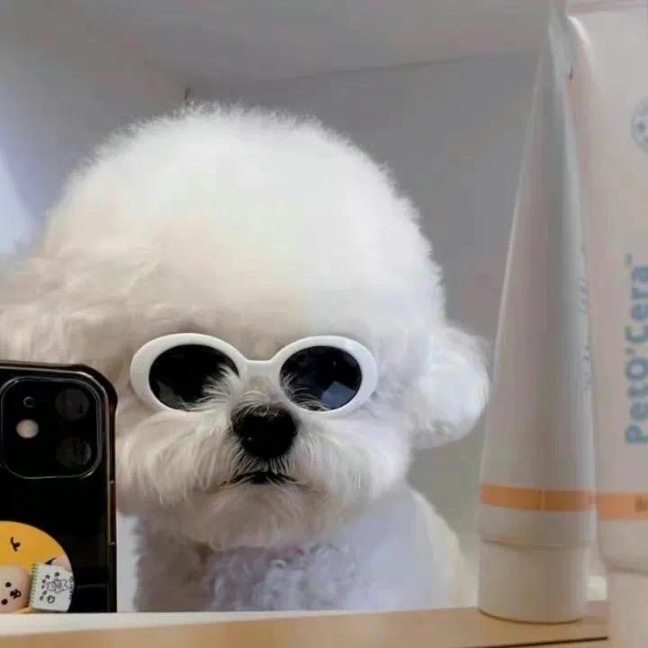 小树不修不直溜