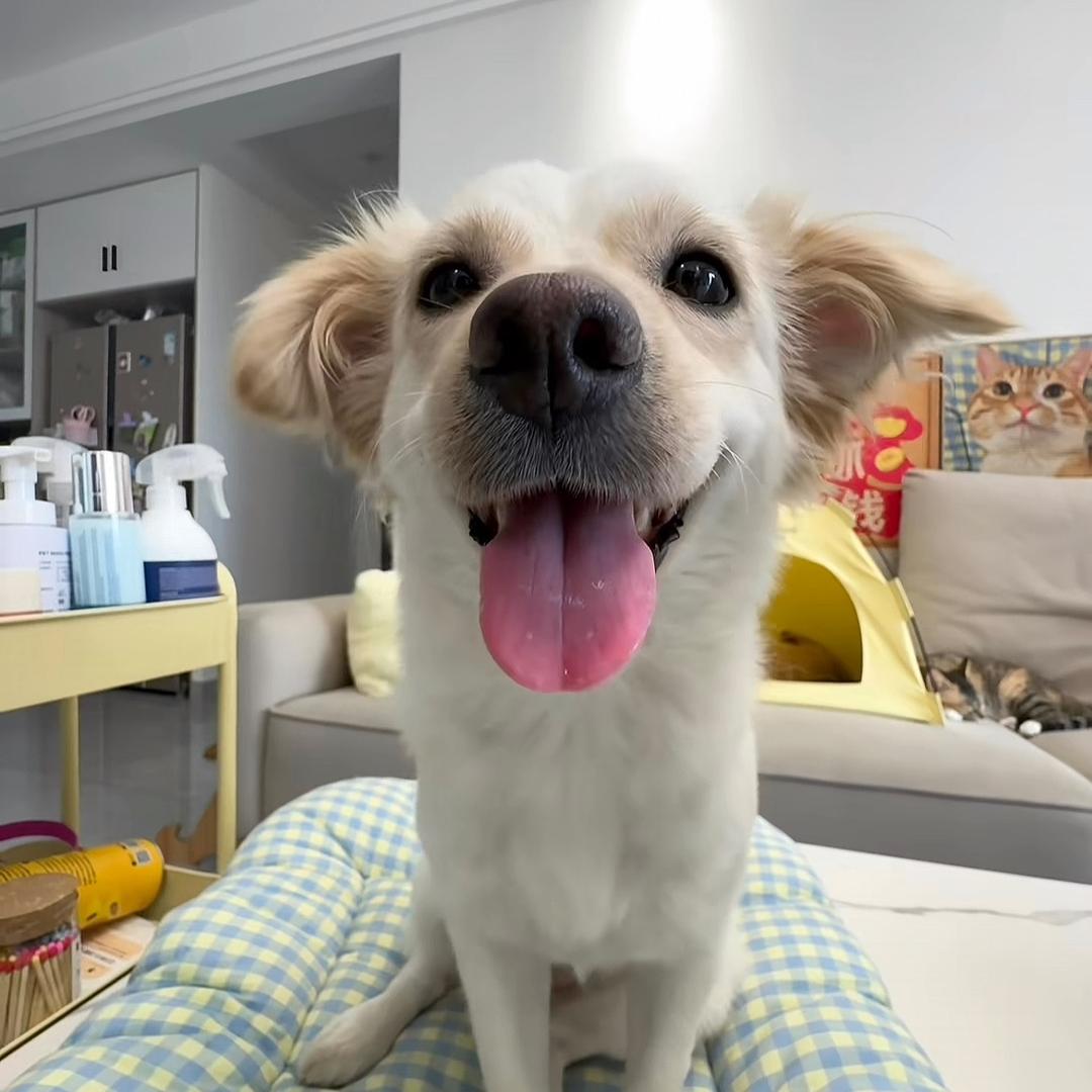 斑斑的